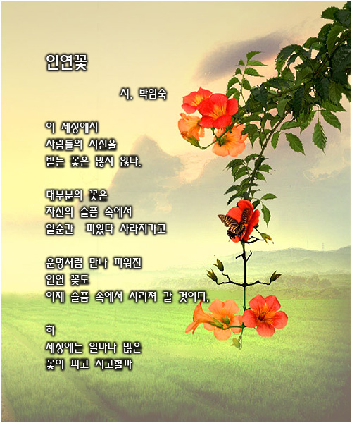 첨부이미지